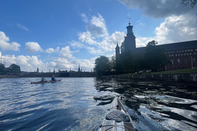 Guided Kayak Tour in Central Stockholm - What the guides add to the outing