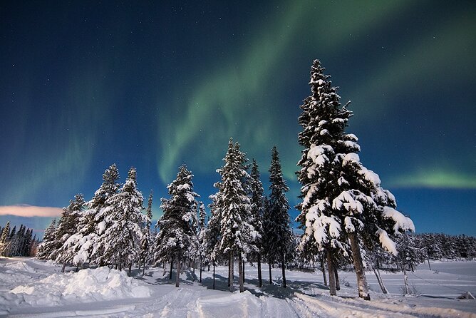 Guided Northern Lights Tour at Kiruna - Waiting in the dark, then watching the sky change