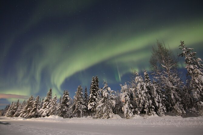 Guided Northern Lights Tour at Kiruna - Weather, cancellations, and the risk of seeing nothing