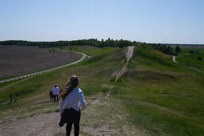 Guided tour 90min at Old Uppsala mounds and old Uppsala church - Key points about the Old Uppsala tour
