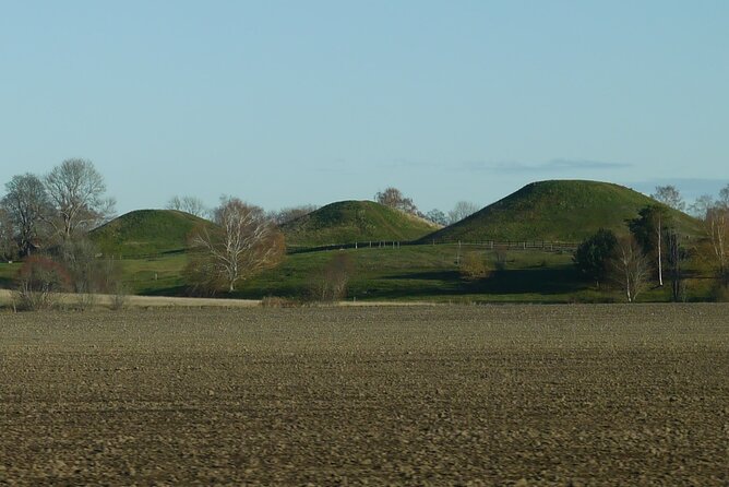 Guided tour 90min at Old Uppsala mounds and old Uppsala church - Walking the three royal mounds