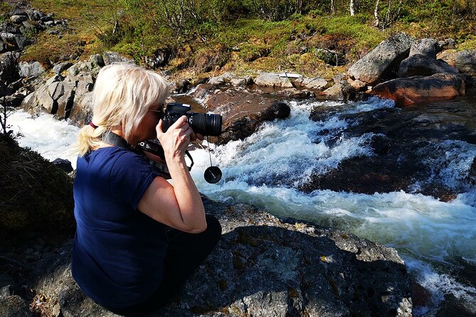 Half day Wildlife and Nature Photography - Four hours in Kiruna, guided by the day