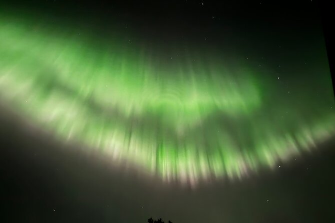 Husky Sled Ride Northern Lights Tour from Kiruna - Why a husky sled is a fine way to search for the aurora