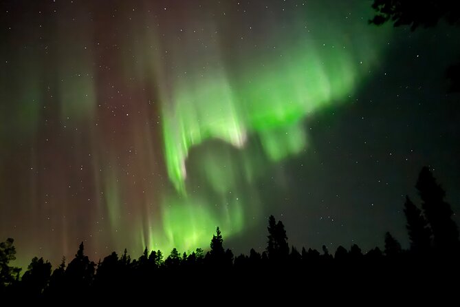 Husky Sled Ride Northern Lights Tour from Kiruna - The 6-kilometer ride into the dark