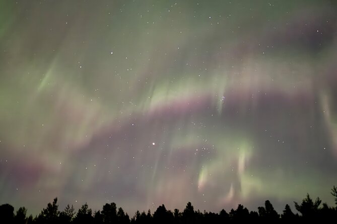 Husky Sled Ride Northern Lights Tour from Kiruna - What the $194.04 price includes