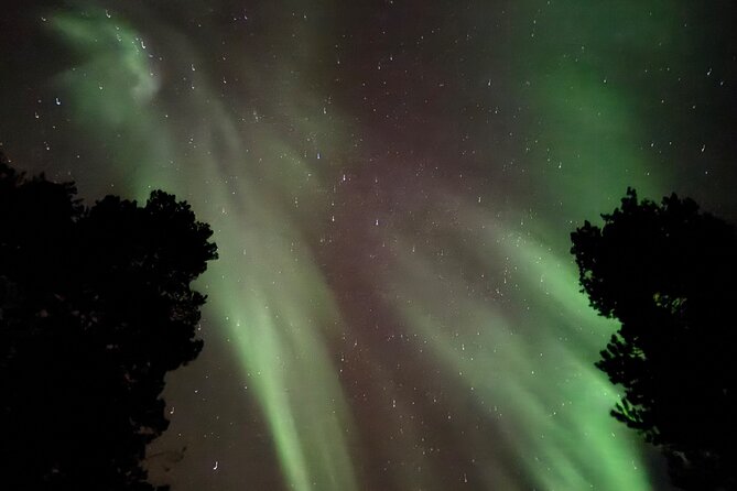 Husky Sled Ride Northern Lights Tour from Kiruna - Who will enjoy this Kiruna outing most
