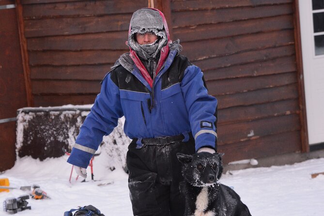 Husky Tour Sit and Drive Combo Tour from Kiruna - Meeting the dogs before the sled ride