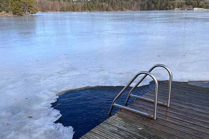 Icebathing and Sauna, Forest Hike and Fireplace Lunch - Private - Who will enjoy this Stockholm outing most