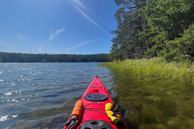 Kayak Tour in the Stockholm Archipelago with Lunch Meal - Lunch on a remote island