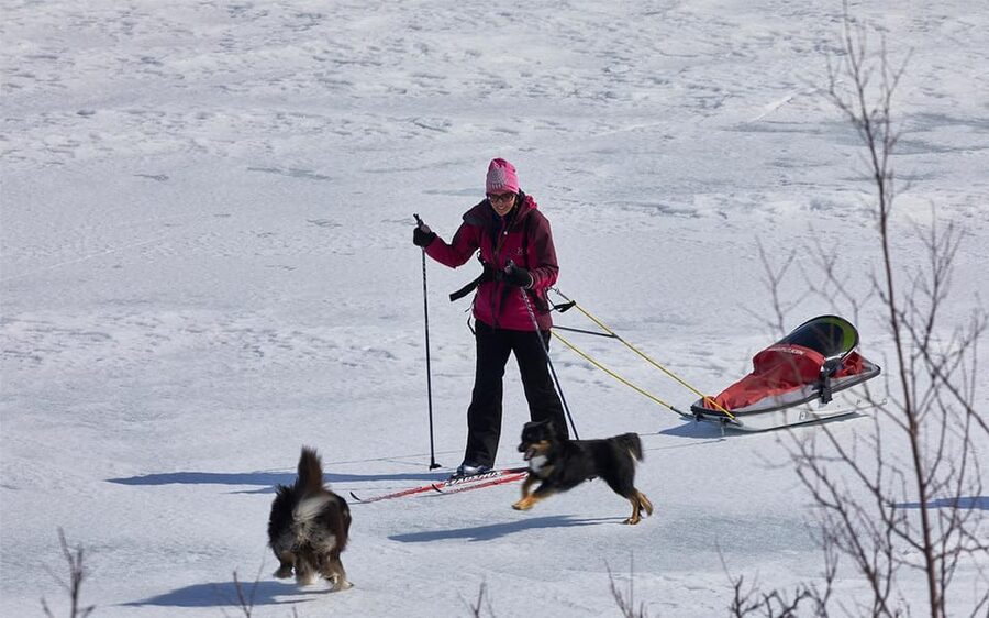 Kiruna: Cross-Country Skiing Tour with a Guide - Starting the morning in Kiruna