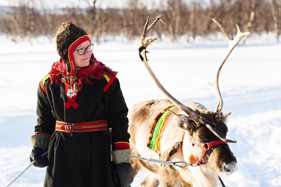 KIRUNA: Sami Reindeer Experience - Walking With the Sledding Reindeer