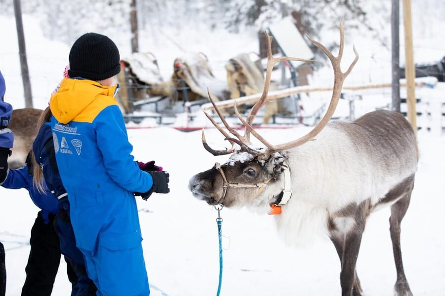 KIRUNA: Sami Reindeer Experience - Stories Around the Fire