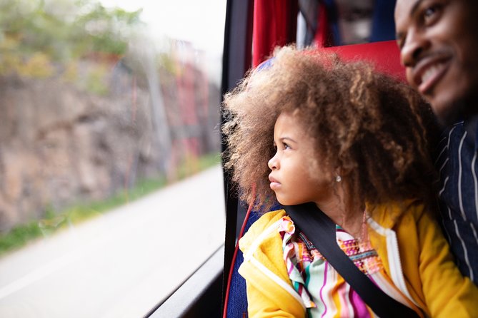 Landvetter Airport Bus Transfer Departure - Who will like this transfer most?