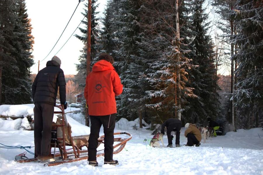 Luleå: Guided Dog Sledding Tour - Coffee and conversation by the fire