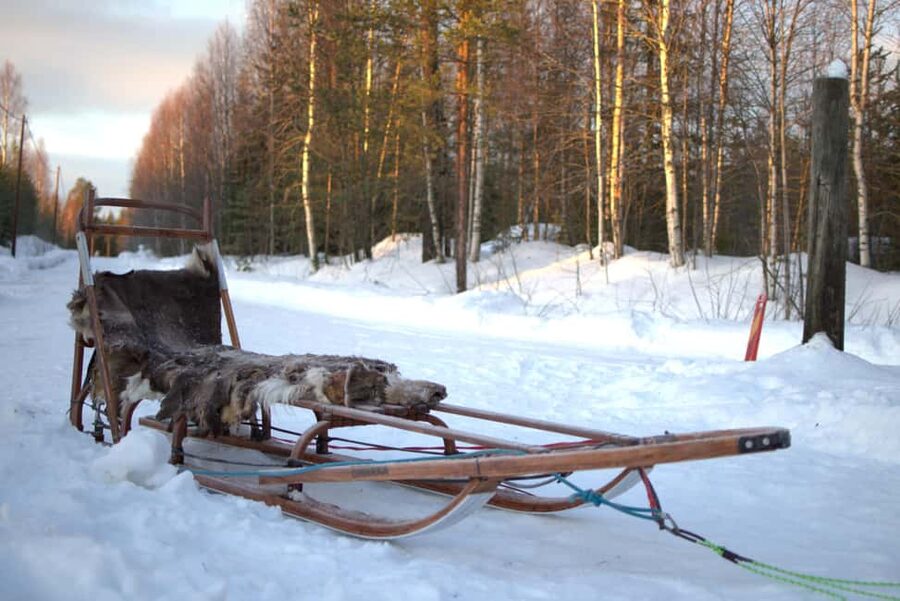 Luleå: Guided Dog Sledding Tour - Getting ready for the 2.5-hour outing