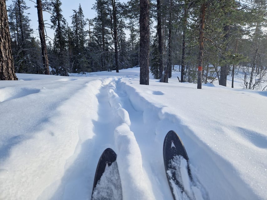 Luleå: Nordic Touring Skiing Adventure - Starting at Hagahamnsvägen 381