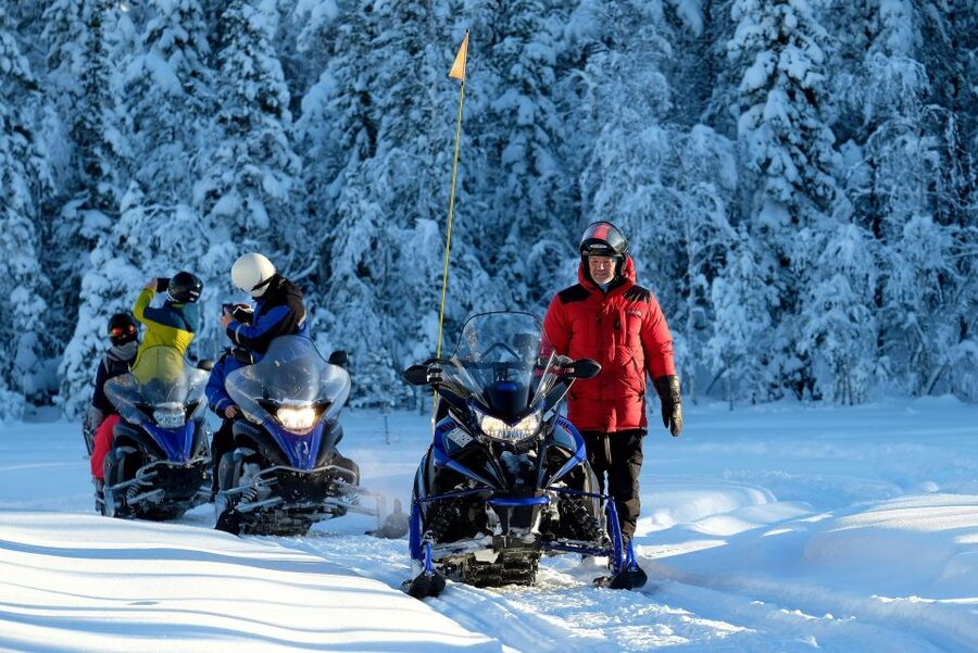 Luleå : Snowmobile - Forest and Ice Nature Tour 2h - Practical booking advice for Luleå