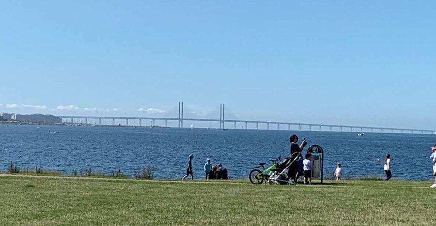 Malmö: 3-Hour Guided Walking Tour - Five useful things to know before you book