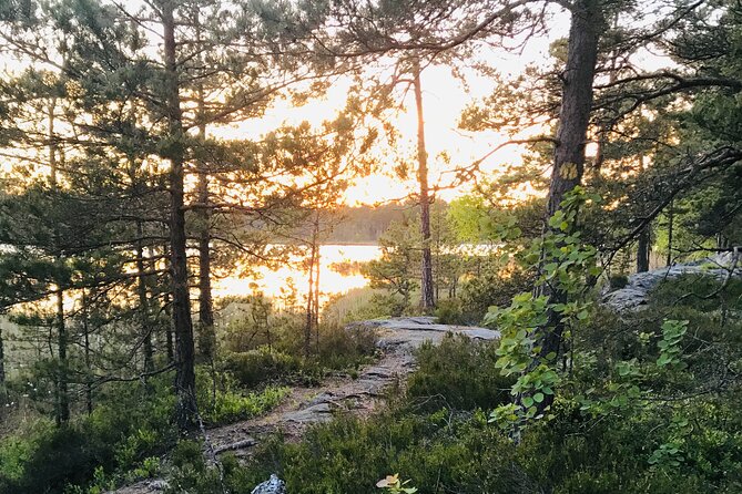 Midnight Sun and Campfire - National Park evening hike Stockholm - Walking through Sweden’s old primeval forest
