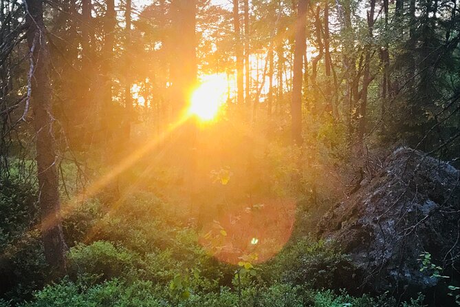 Midnight Sun and Campfire - National Park evening hike Stockholm - Fika in a village of red wooden houses