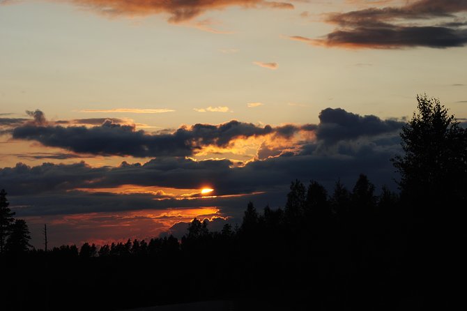 Moose safari in the wild Sweden Tiveden - The minivan search around Tived and Tiveden