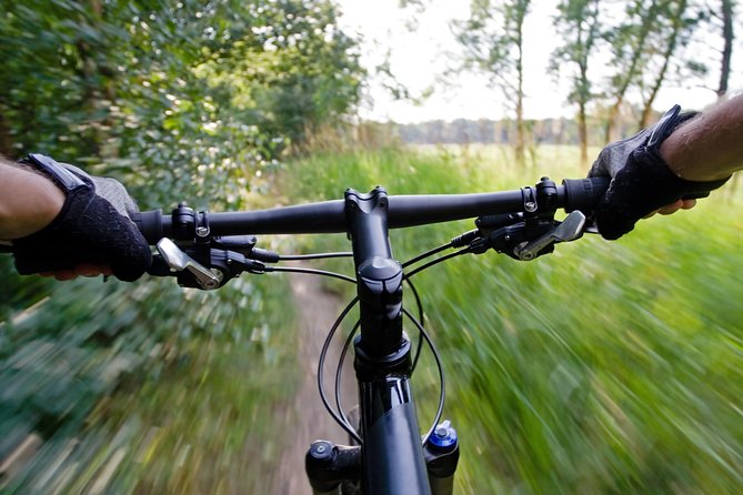 Mountain Biking Small-Group in Stockholm Forests for Beginners - Forest paths, climbs, and the Erstaviken option