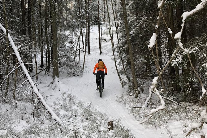 Mountain Biking Small-Group in Stockholm Forests for Beginners - Who should book this ride?