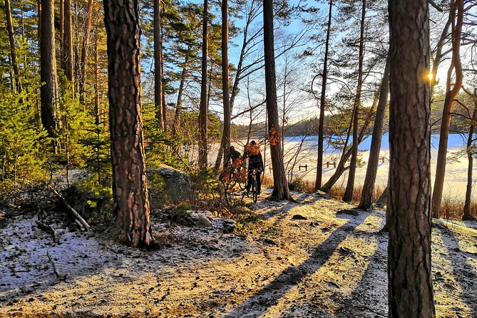 Mountain Biking Small-Group in Stockholm Forests for Beginners - Why the small group makes a difference