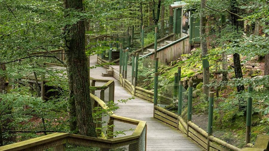 Nordens Ark Entry Ticket - Turtle Ark: A Smaller Stop With a Clear Purpose