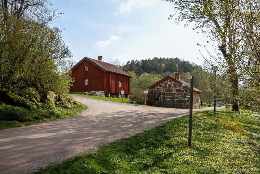 Nordens Ark Entry Ticket - Summer Activities From June 24 to August 11