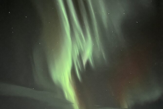 Northern Light hunt with minibus to Abisko 7:30 pm - Guides who add value to the drive