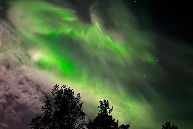 Northern Light hunt with minibus to Abisko 7:30 pm - Is $253 a fair price?