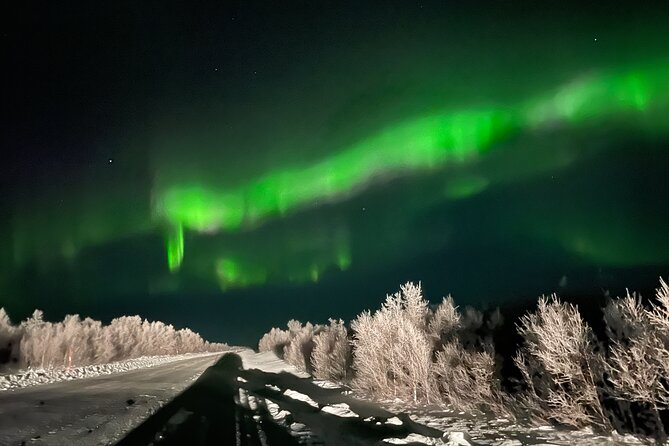 Northern Light hunt with minibus to Abisko 7:30 pm - Abisko National Park after dark