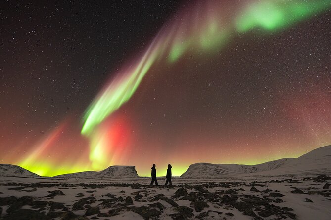 Northern Lights Photo Expedition Dinner Included from Abisko - Learning to photograph the northern lights