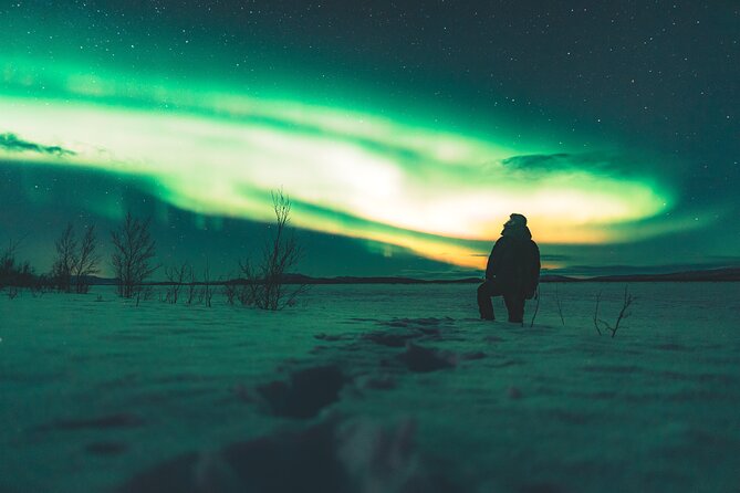 Northern Lights Photo Expedition Dinner Included from Abisko - What the $235.33 price buys you