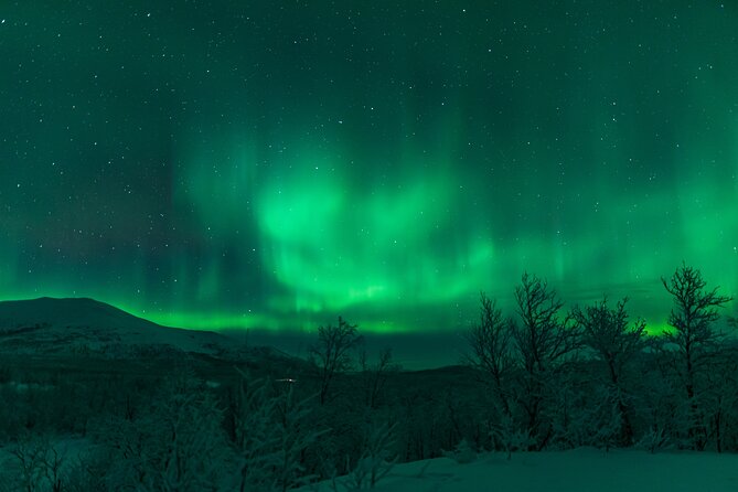 Northern Lights Tour from Kiruna to Abisko with Dinner - Why the Kiruna to Abisko drive is worth your evening