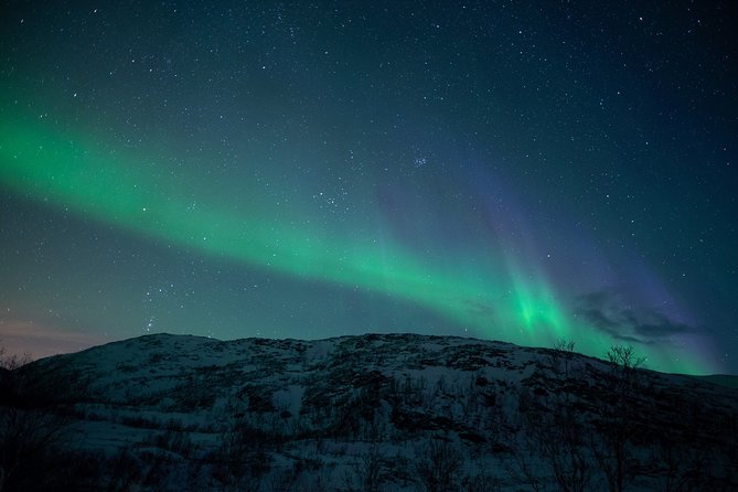 Northern Lights Tour from Kiruna to Abisko with Dinner - Campfire, hot drinks, and the reality of Arctic cold