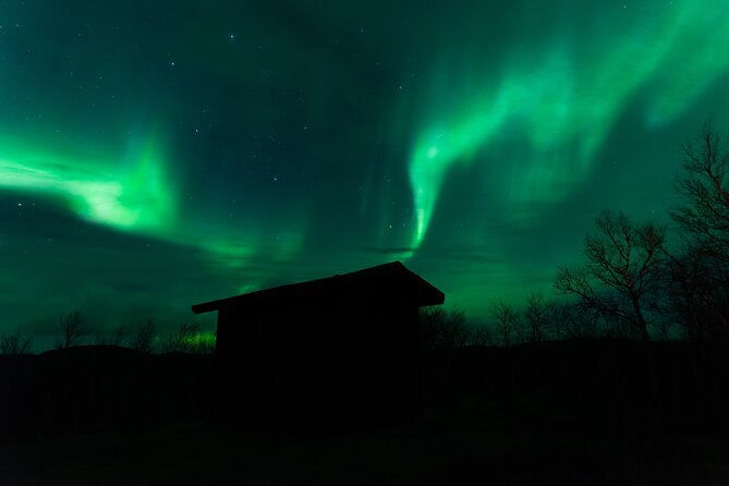 Northern Lights Tour from Kiruna to Abisko with Dinner - The included photography is a real advantage