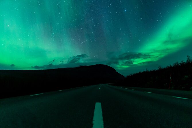 Northern Lights Tour from Kiruna to Abisko with Dinner - What the $278.79 price really covers
