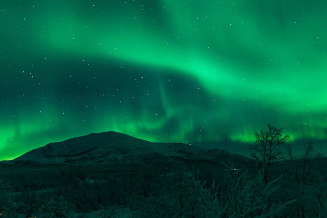 Northern Lights Tour from Kiruna to Abisko with Dinner - Who will enjoy this tour most