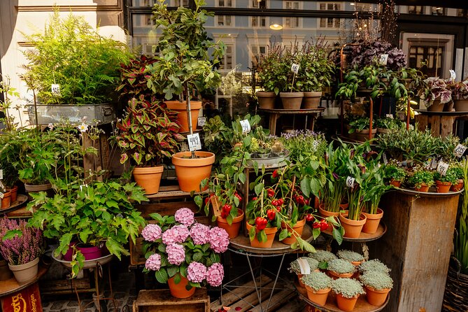 Private 90-Minute Walking Tour in Stockholm - Starting at Stortorget and Stortorgsbrunnen