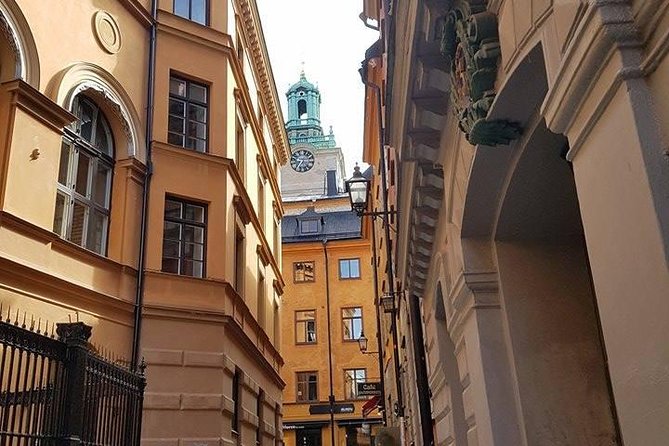 Private Car Tour of Stockholm with a Live guide, including the Vasa museum. - Guides Who Make the History Memorable