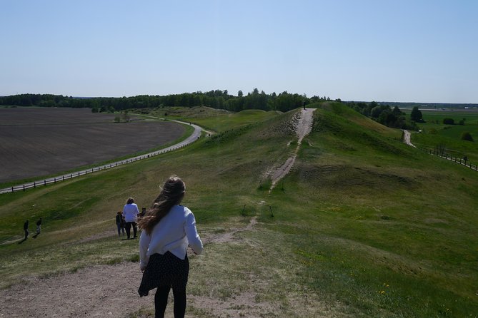 Private Full Day Viking History Tour from Stockholm Including Sigtuna and Uppsala - Gamla Uppsala and Swedish fika