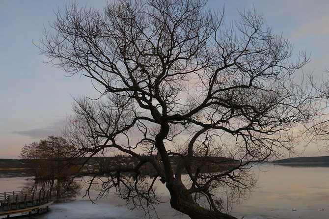 Private Sigtuna Tour from Stockholm - Oldest Town of Sweden - Why Sigtuna is worth leaving Stockholm for