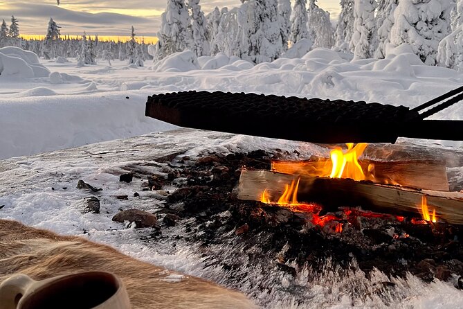 Private snowmobile day tours - Frozen lakes, tundra, and winter marshes
