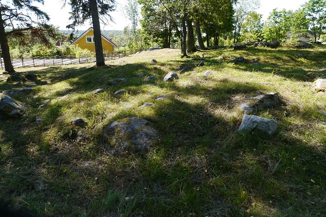 Private Tour: 3h Viking History from Stockholm to Runic Kingdom - Pickup details for hotels and cruise ships