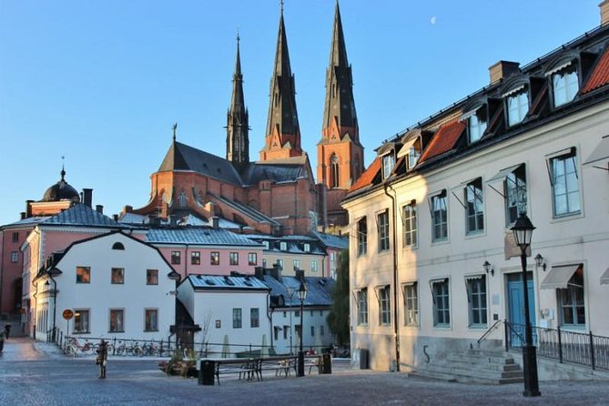 ROYAL Uppsala and VIKING Sigtuna PRIVATE Tour - Who Will Enjoy This Tour Most?