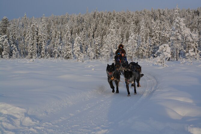 Sit Back and Relax Morning Husky Tour - Dressing for the Arctic morning