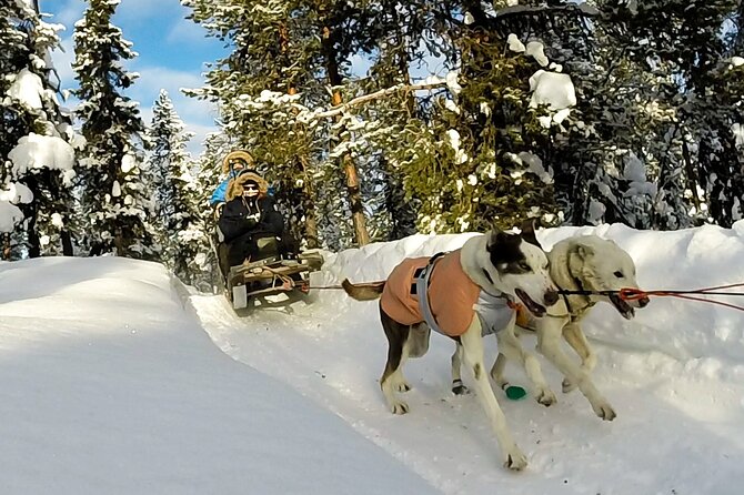 Sit Down Husky Ride Dog Sled Tour in Kiruna - Leaving Kiruna Behind For Kurravaara