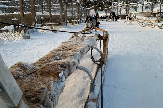 Sit Down Husky Ride Dog Sled Tour in Kiruna - Weather, Cancellations, And Winter Planning